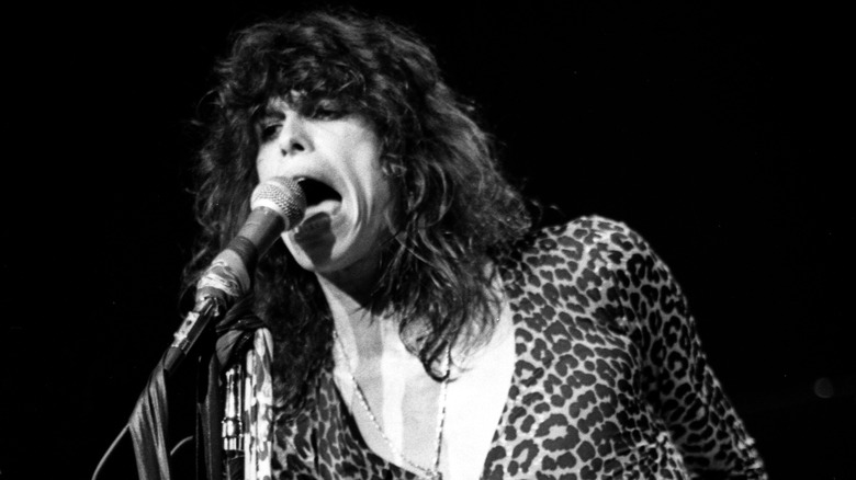 Steven Tyler singing into microphone