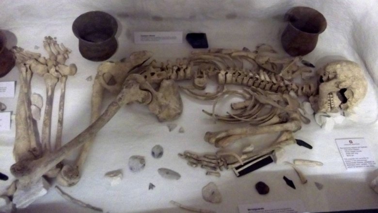 Amesbury Archer skeleton