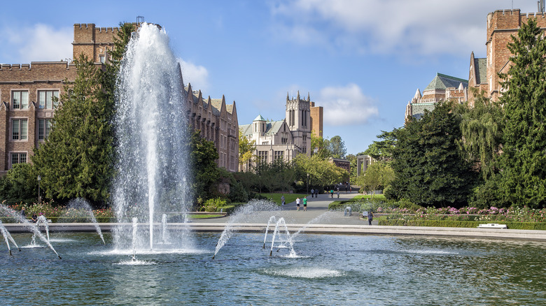 The University of Washington