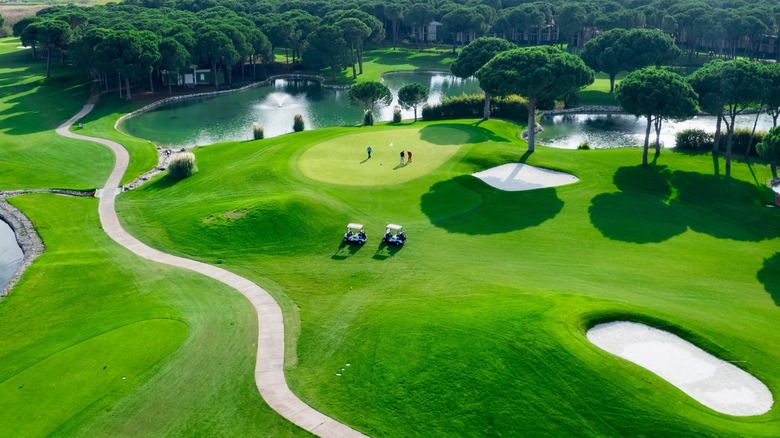 Aerial view of men at golf course