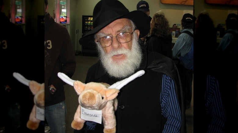 Randi winged pig stuffed animal