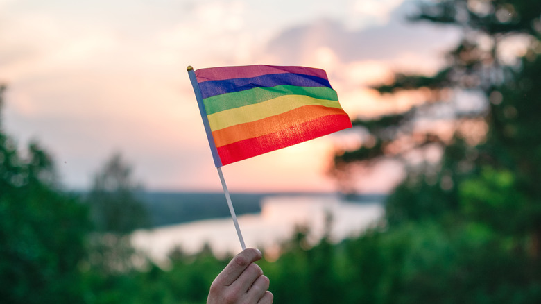 Pride Flag flying