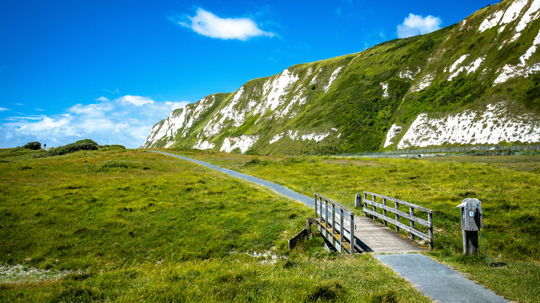 samphire hoe against cliffs