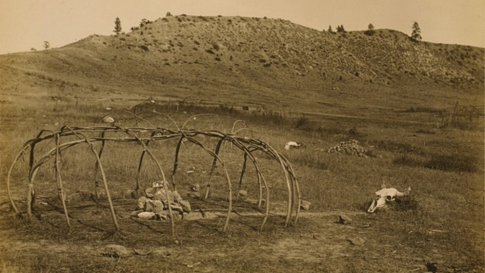 Frame of a Cheyenne sweat lodge, 1910