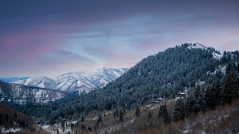 Wasatch Mountains