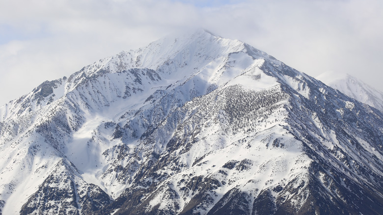 Sierra Nevadas