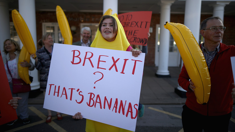 A brexit protester dressed as a banana