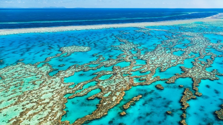 Great Barrier Reef shore queensland australia