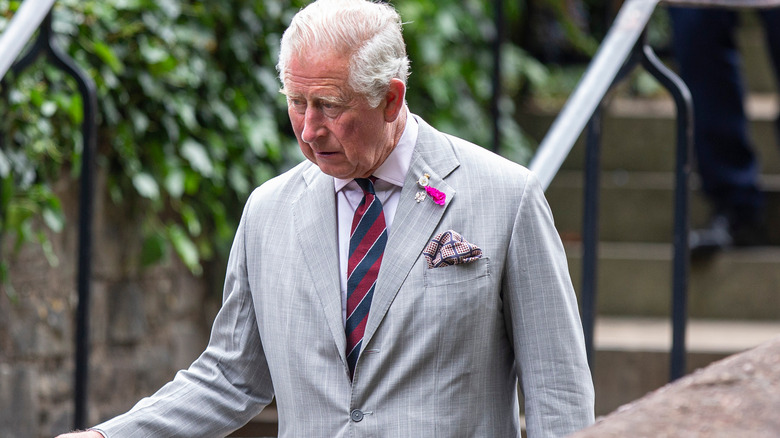 Prince Charles in 2019