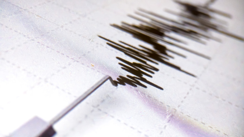 Earthquake seismometer 