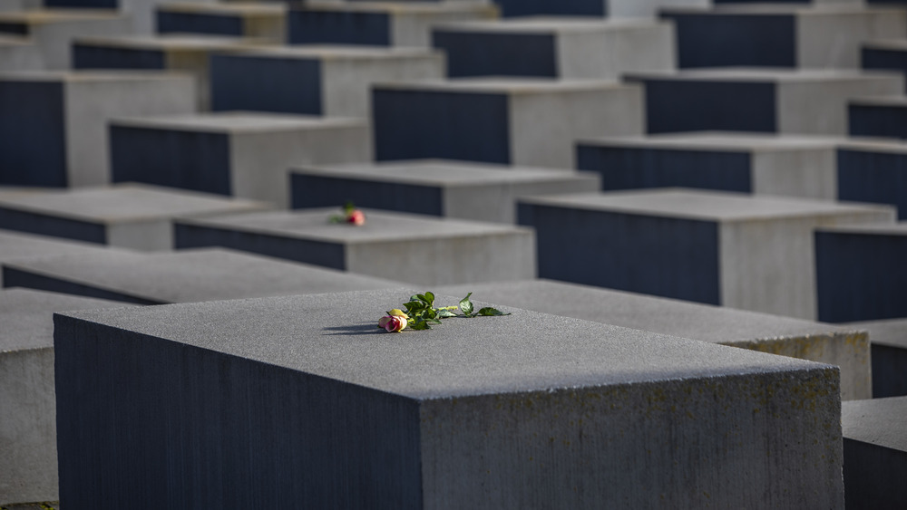 holocaust memorial rose