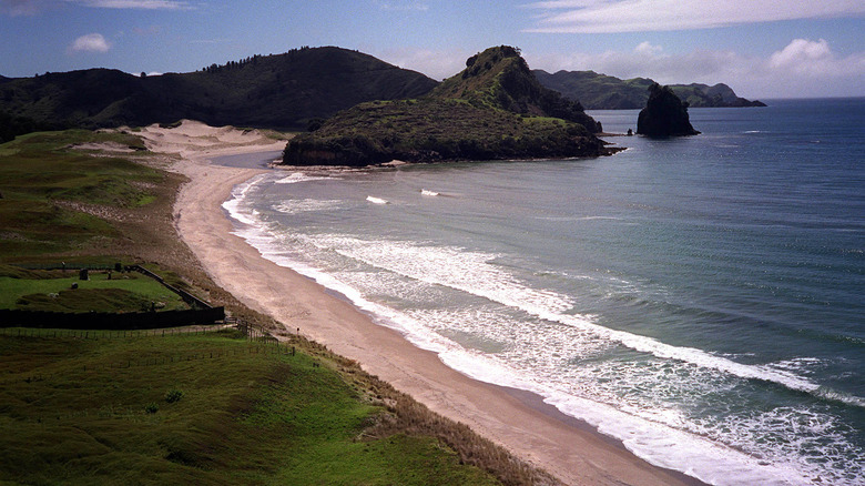 Awana Beach in New Zealand