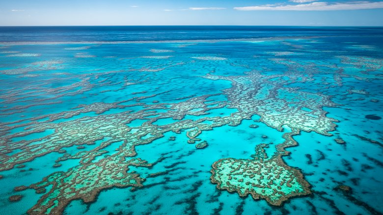 The Great Barrier Reef