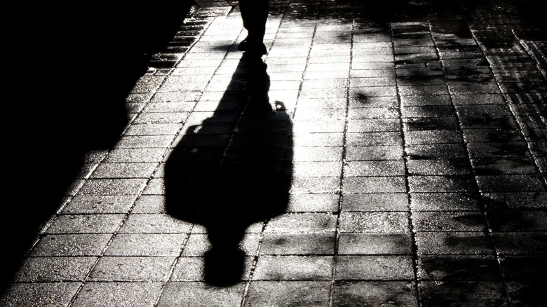 Shadow silhouette on street