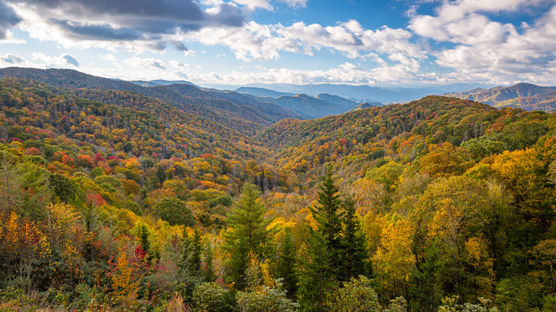 view of Smoky Mountains