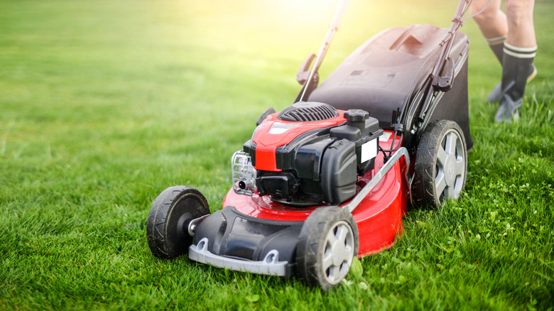 man mowing grass