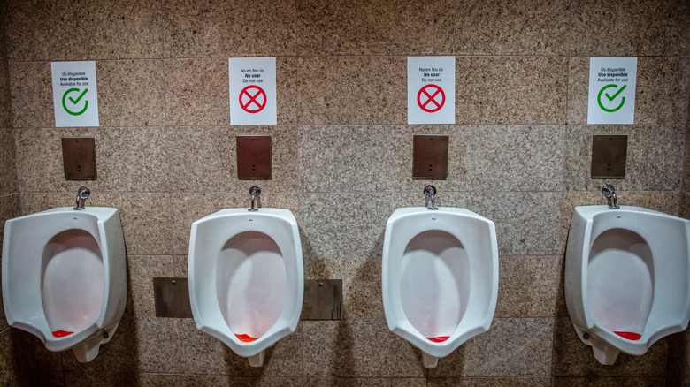 a row of urinals