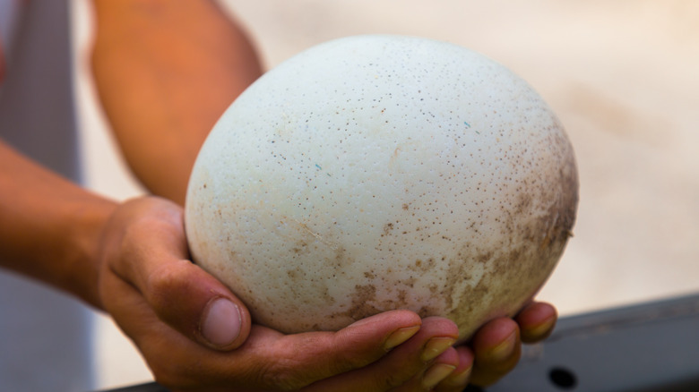 Man holding giant egg