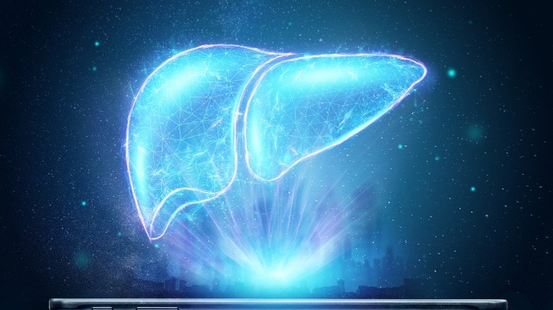 xray of a human liver