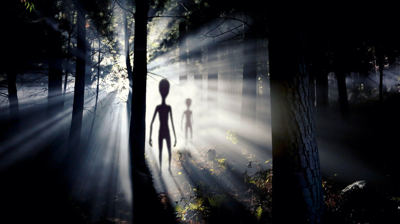 Back lit aliens in woodland