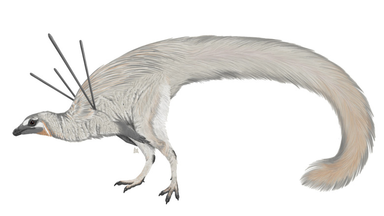 Ubirajara jubatus artist reconstruction