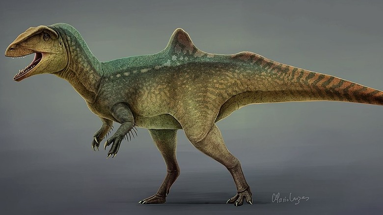 Concavenator corcovatus artist reconstruction