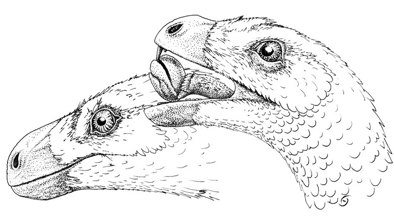 Incisivosaurus gauthieri artist reconstruction