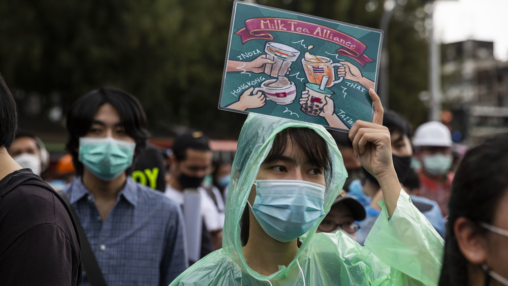 Thai protester carrying a placard with a Milk Tea Alliance cartoon 