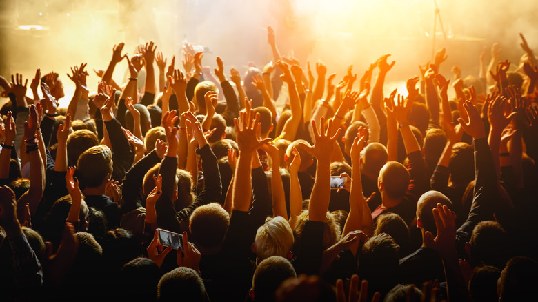 Festival crowd with arms raised