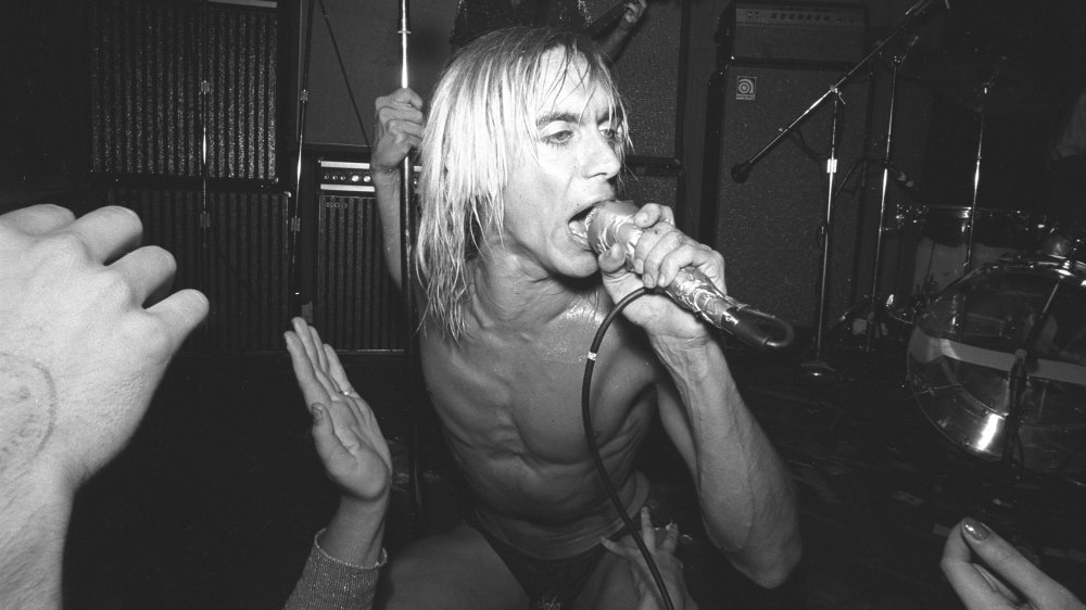 Iggy Pop in 1973