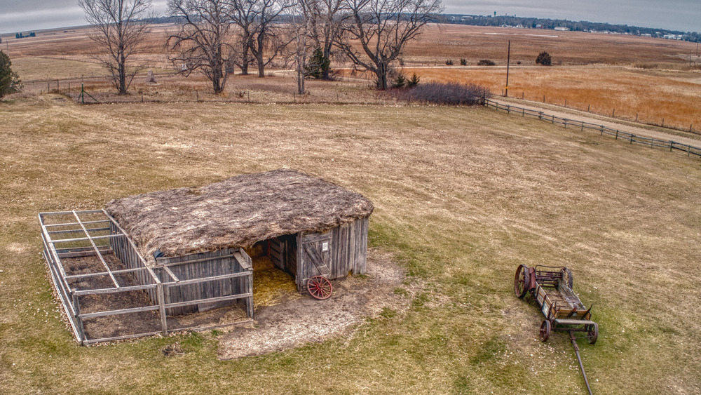 Shack with sod roof