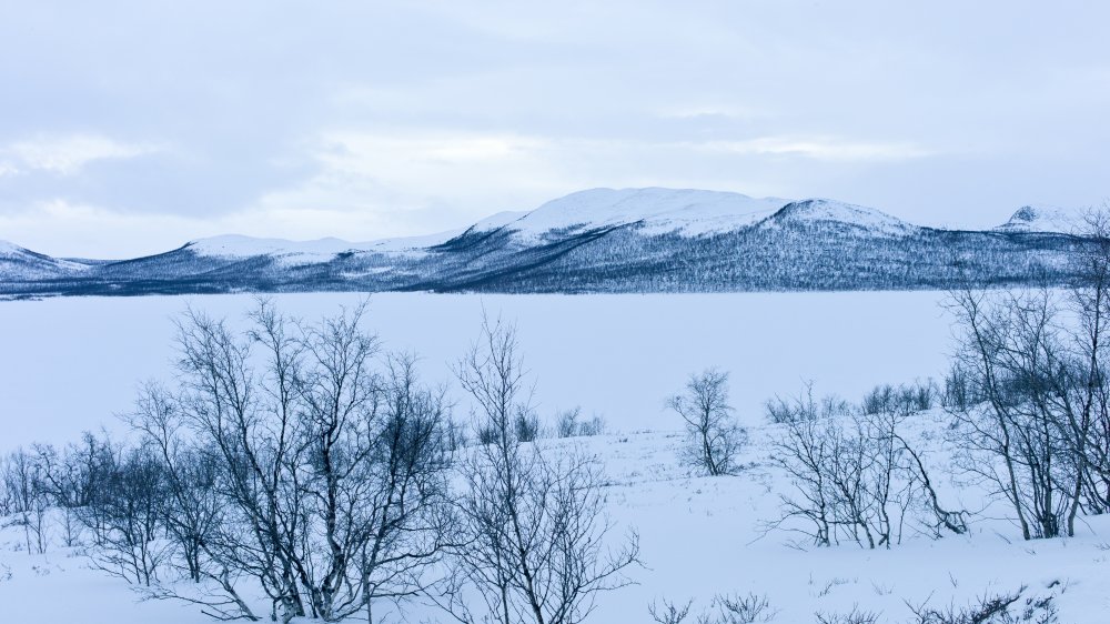 The Finnish countryside in winter