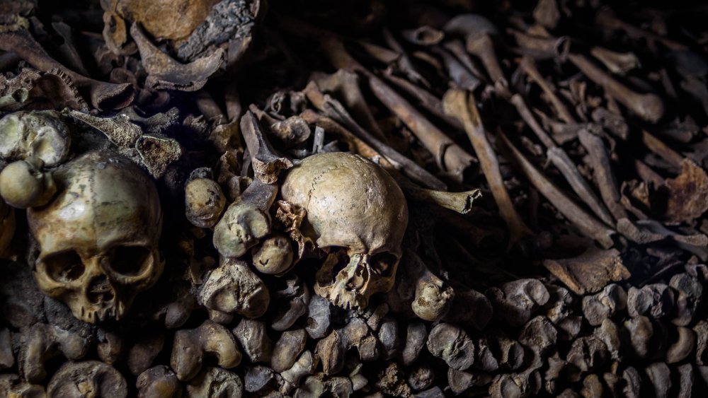 Skulls in the Paris catacombs