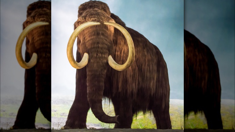 Rendering of a Mastadon