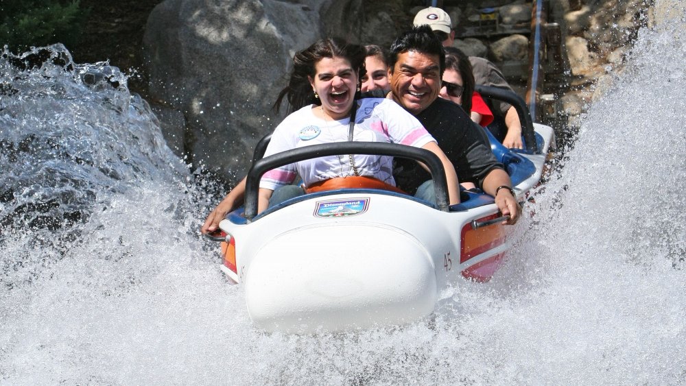 Matterhorn Bobsleds, Disney theme park