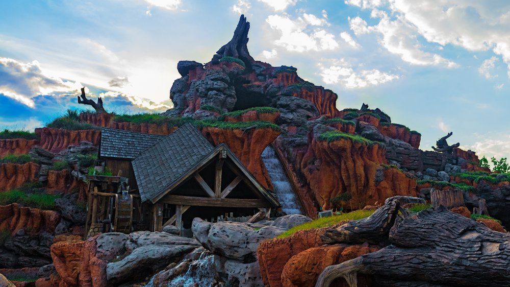 Splash Mountain, Disney theme park