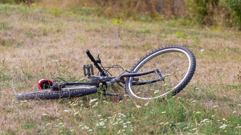 bicycle lying in field