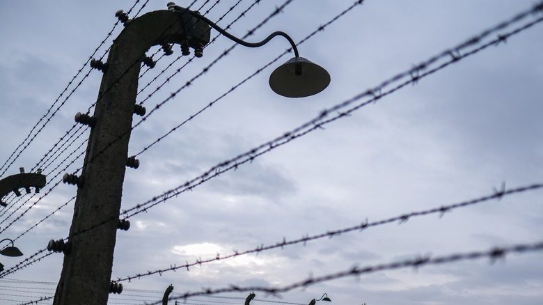 Barbed wire fence at the site of what used to be Aschwitz-Birkenau