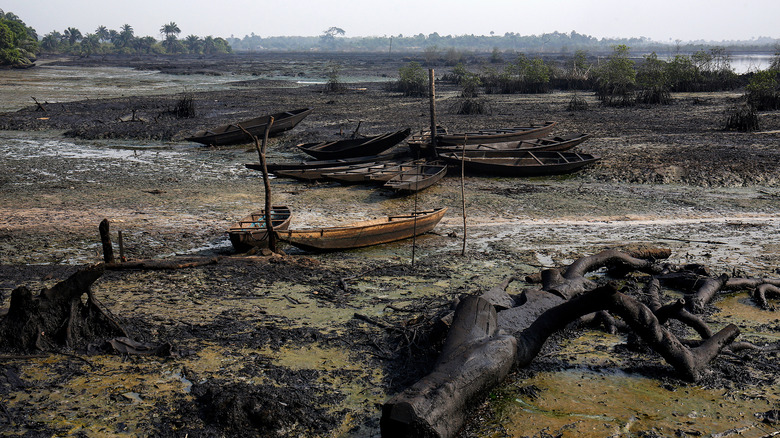 Oil pollution Niger delta