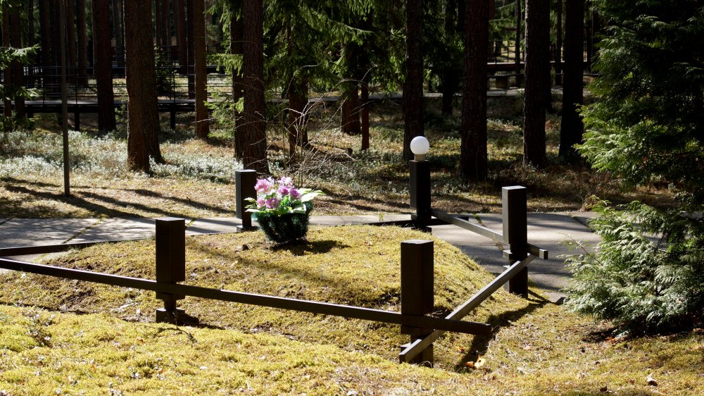 Graves in Katyn Forest