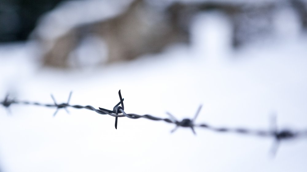 Barbed wire