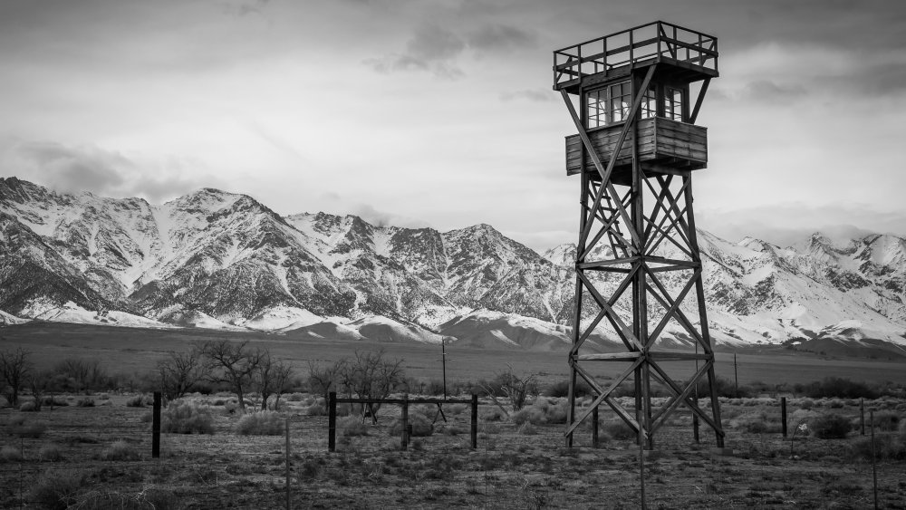 Japanese internment camp