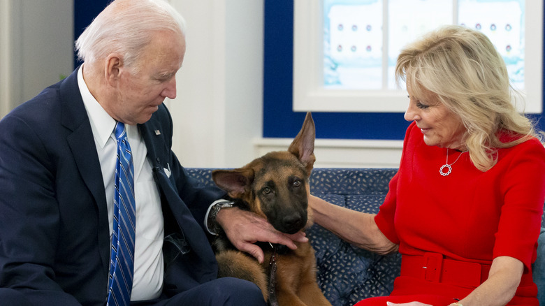 The Bidens with puppy Commander