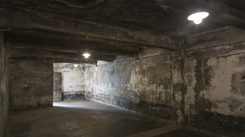 ruins of gas chamber at auschwitz