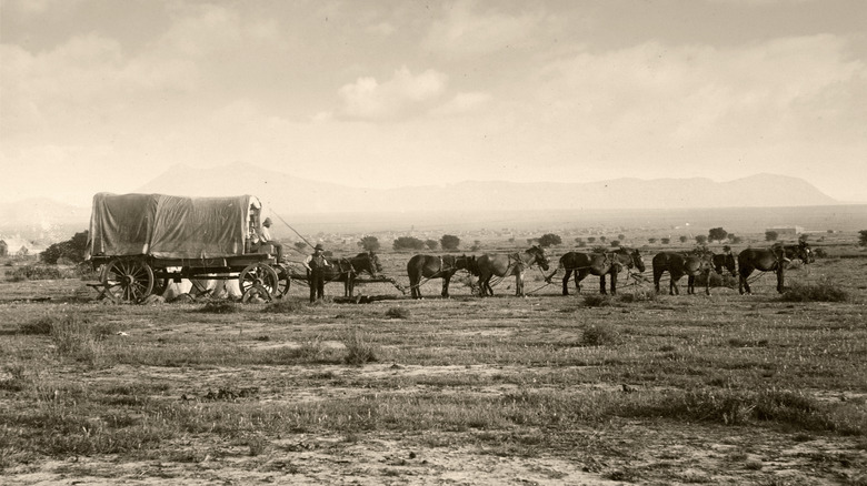 covered wagon with horses