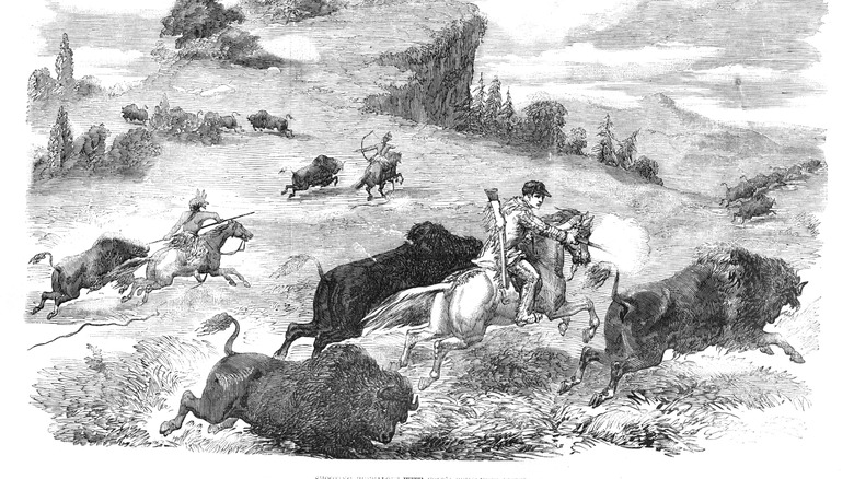 shooting buffalo with pistol illustration