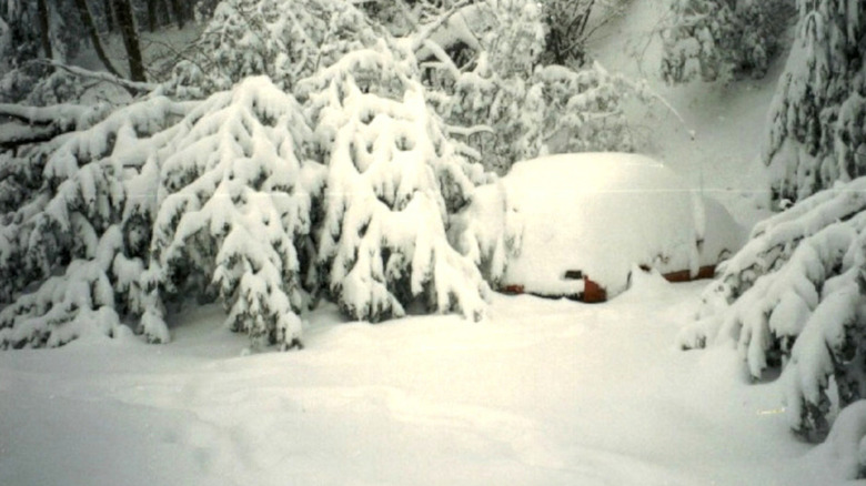 Car buried in snow