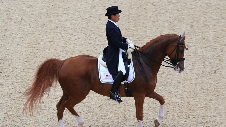 Hiroshi Hoketsu riding horse