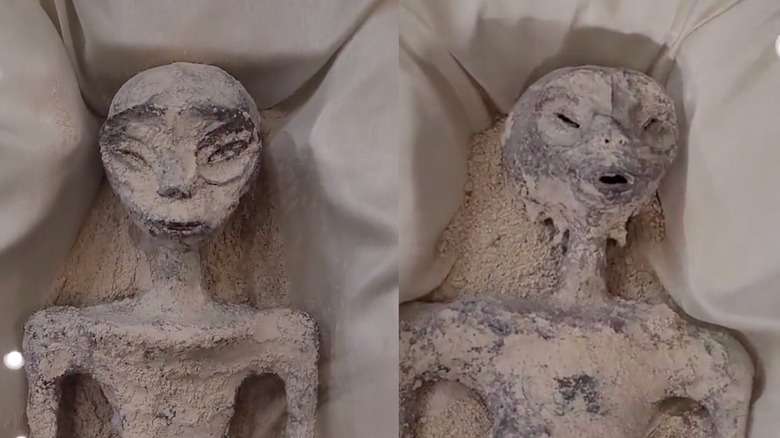 Alleged alien corpses