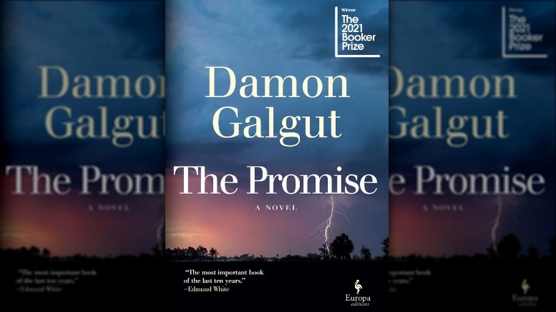 The cover of The Promise by Damon Galgut